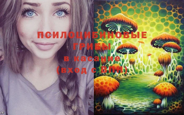 метамфетамин Белокуриха